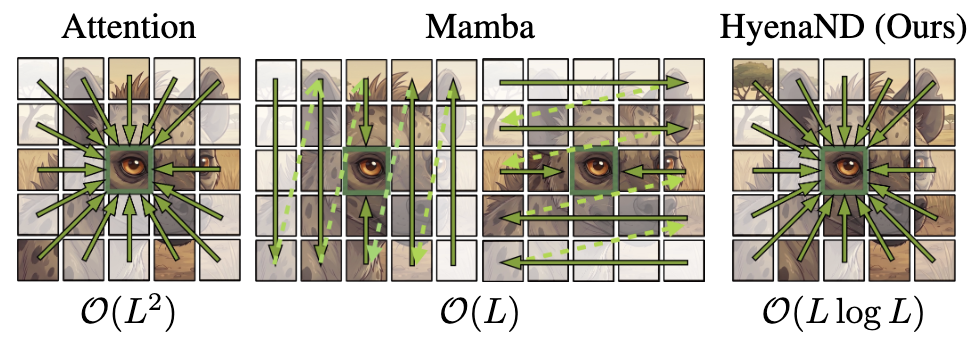 hyenaMD.png